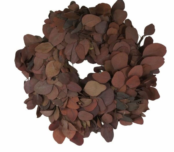 Couronne Eucalyptuskranz Naturkranz Wreath populus 38cm ∅
