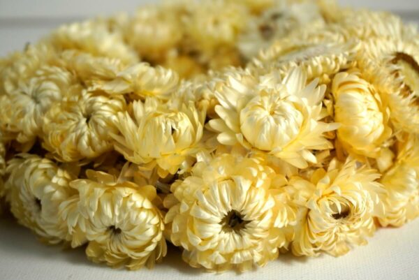 Deko Trockenblumenkranz Tischkranz Strohblumen Natur 20 cm ∅