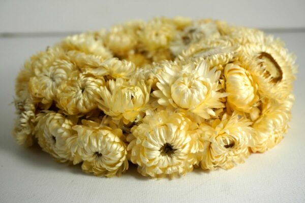 Deko Trockenblumenkranz Tischkranz Strohblumen Natur 20 cm ∅