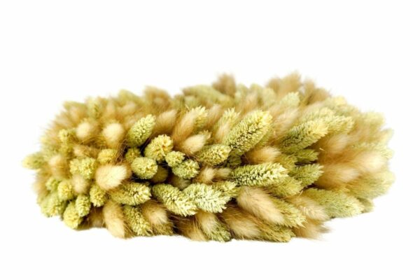 Couronne Deko Naturkranz Tischkranz Samtgras Kranz 28cm