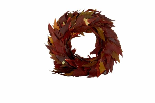 Deko Naturkranz Tischkranz Türkranz Elchblatt Kranz 30cm