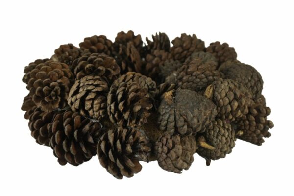 Deko Naturkranz Tischkranz Herbstkranz Zapfen Natur 35 cm ∅