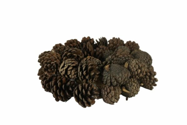Deko Naturkranz Tischkranz Herbstkranz Zapfen Natur 35 cm ∅