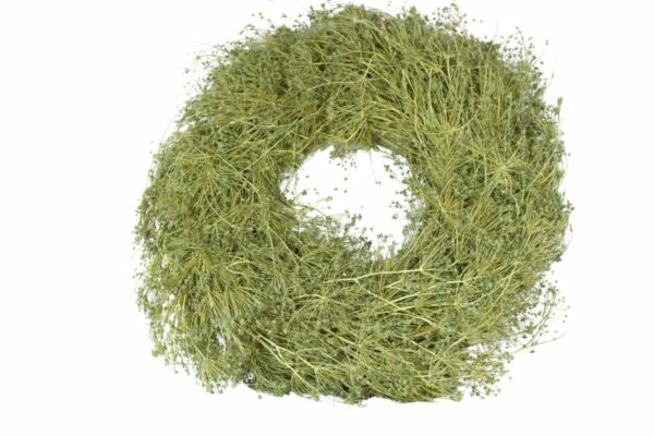 Deko Kranz Wandkranz Naturkranz Tischkranz Wreath Dill 45cm ∅