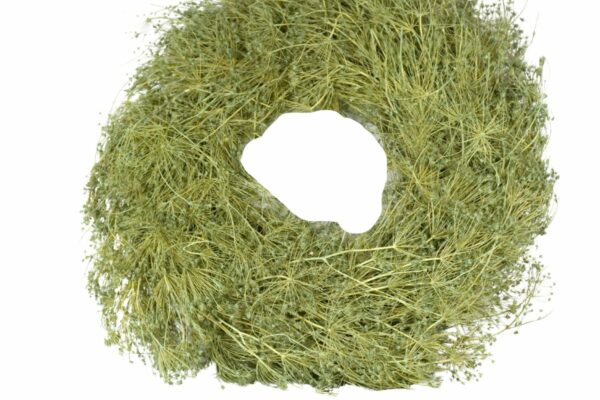 Deko Kranz Wandkranz Naturkranz Tischkranz Wreath Dill 45cm ∅