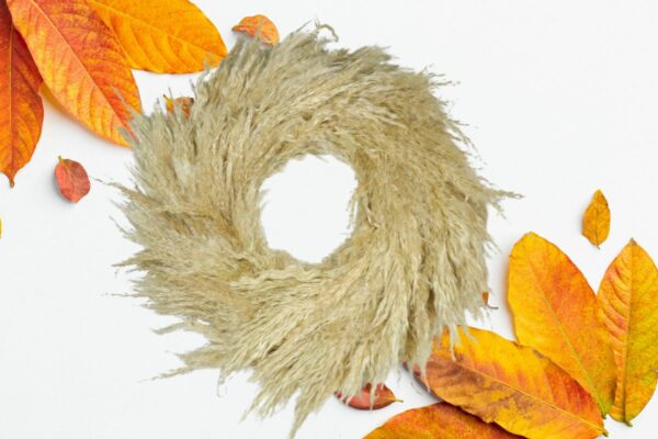 HBX Deko Kranz Naturkranz Tischkranz Wandkranz Gräser 40cm ∅