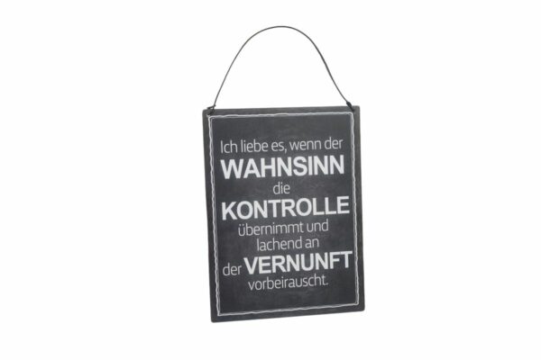 Deko Blechschild Ich liebe es wenn der Wahnsinn die Kontrolle übernimmt und lachend an der Vernunft vorbeirauscht