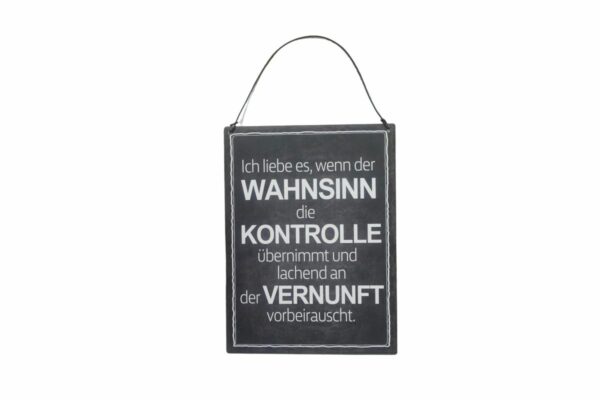 Deko Blechschild Ich liebe es wenn der Wahnsinn die Kontrolle übernimmt und lachend an der Vernunft vorbeirauscht