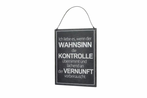 Deko Blechschild Ich liebe es wenn der Wahnsinn die Kontrolle übernimmt und lachend an der Vernunft vorbeirauscht