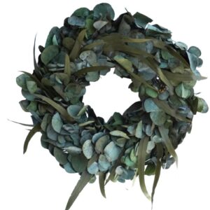 Dekokranz Eukalyptuskranz Naturkranz Wandkranz Eukalyptus Mix 35cm ∅