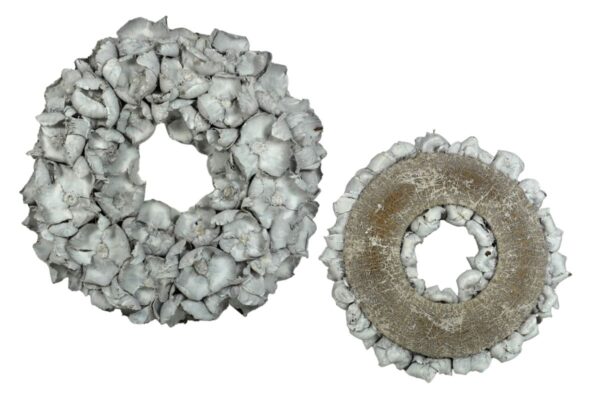 Couronne Deko Kranz Naturkranz Palm Cup Wreath White Wash 45∅