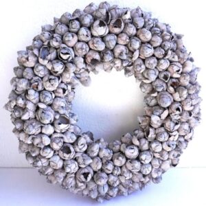 Couronne Türkranz Coconut Fruits Wandkranz Trocken Haltbar Grey Mist Handarbeit 40cm ∅