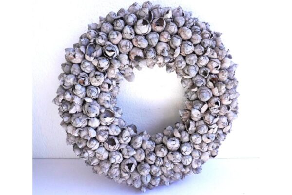 Couronne Türkranz Coconut Fruits Wandkranz Trocken Haltbar Grey Mist Handarbeit 40cm ∅