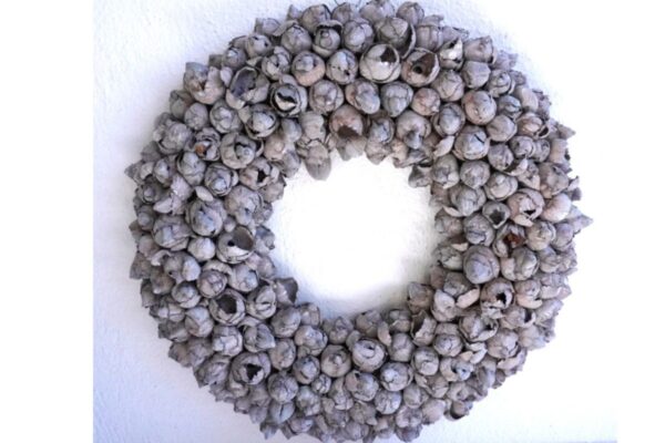 Couronne Türkranz Coconut Fruits Wandkranz Trocken Haltbar Grey Mist Handarbeit 40cm ∅