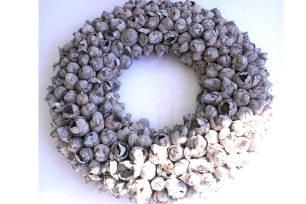 Couronne Türkranz Coconut Fruits Wandkranz Trocken Haltbar Grey Mist Handarbeit 40cm ∅