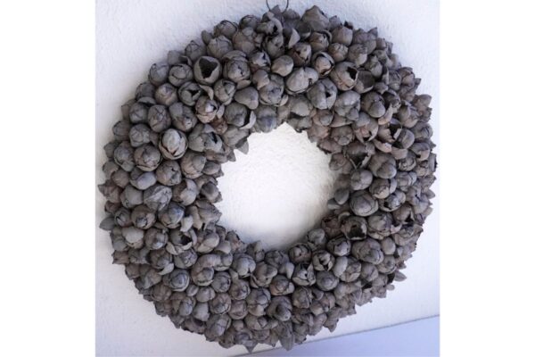 Couronne Türkranz Coconut Fruits Wandkranz Trocken Haltbar Smoke Grey Handarbeit 40cm ∅
