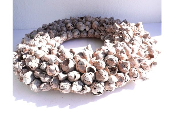 Couronne Türkranz Coconut Fruits Wandkranz Trocken Haltbar Nuss Brown Handarbeit 40cm ∅