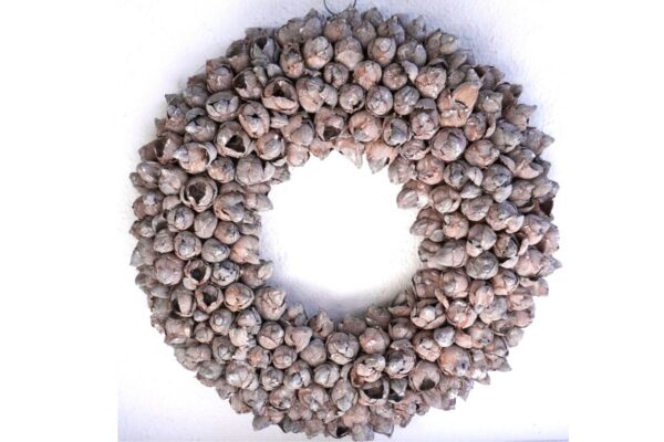 Couronne Türkranz Coconut Fruits Wandkranz Trocken Haltbar Nuss Brown Handarbeit 40cm ∅