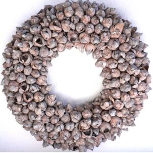 Couronne Türkranz Coconut Fruits Wandkranz Trocken Haltbar Nuss Brown Handarbeit 40cm ∅