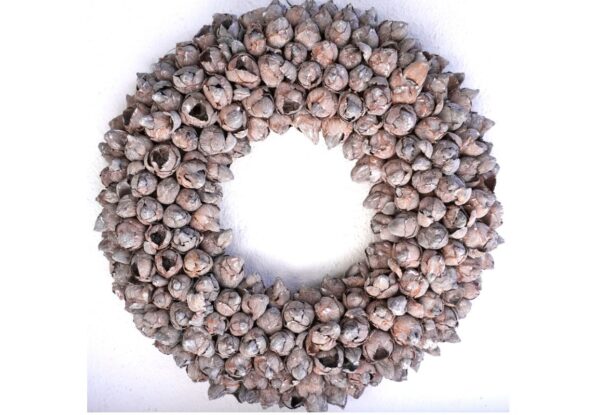 Couronne Türkranz Coconut Fruits Wandkranz Trocken Haltbar Nuss Brown Handarbeit 40cm ∅