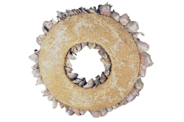 Couronne Dekokranz Wandkranz Naturkranz Handarbeit Palm Petal Wreath White Wash 40 ∅