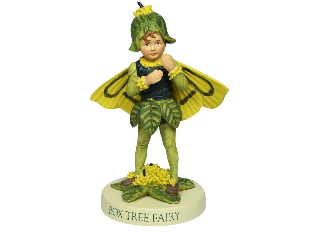 Flower Fairies Dekofigur Box Tree Fairy Deko Blumenkind Elfe Flower Fairy