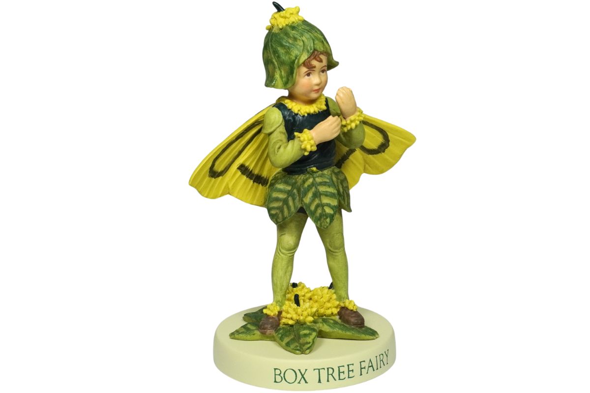 Flower Fairies Dekofigur Box Tree Fairy Deko Blumenkind Elfe Flower Fairy